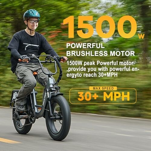 1500W Peak Electric Bike